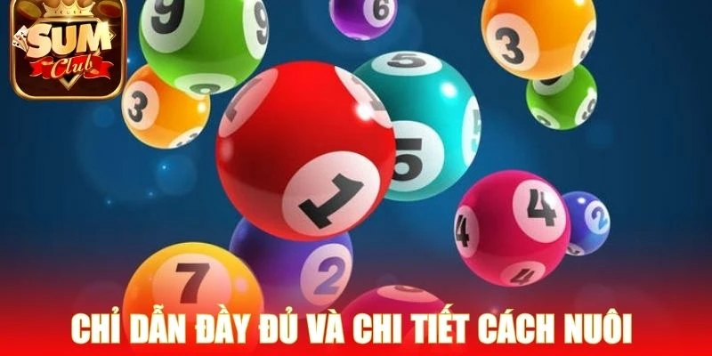Chỉ dẫn đầy đủ và chi tiết cách nuôi từ cơ bản đến nâng cao