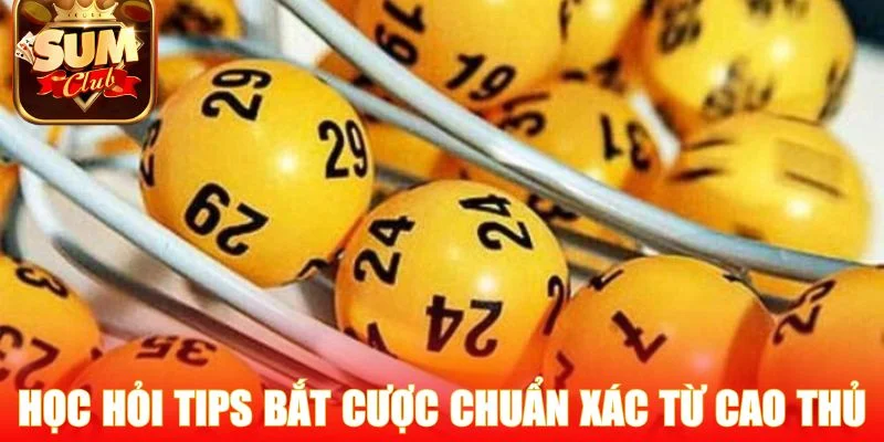 Học hỏi tips bắt cược chuẩn xác từ cao thủ 