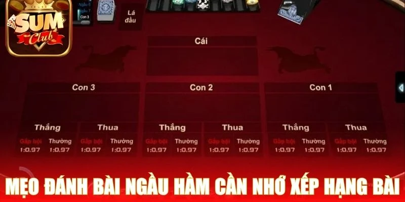 Mẹo đánh bài ngầu hầm cần nhớ xếp hạng bài